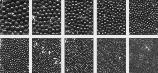 �T���ĥ��